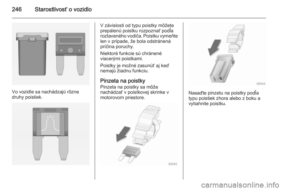 OPEL INSIGNIA 2014  Používateľská príručka (in Slovak) 246Starostlivosť o vozidlo
Vo vozidle sa nachádzajú rôzne
druhy poistiek.
V závislosti od typu poistky môžete
prepálenú poistku rozpoznať podľa
roztaveného vodiča. Poistku vymeňte len v 