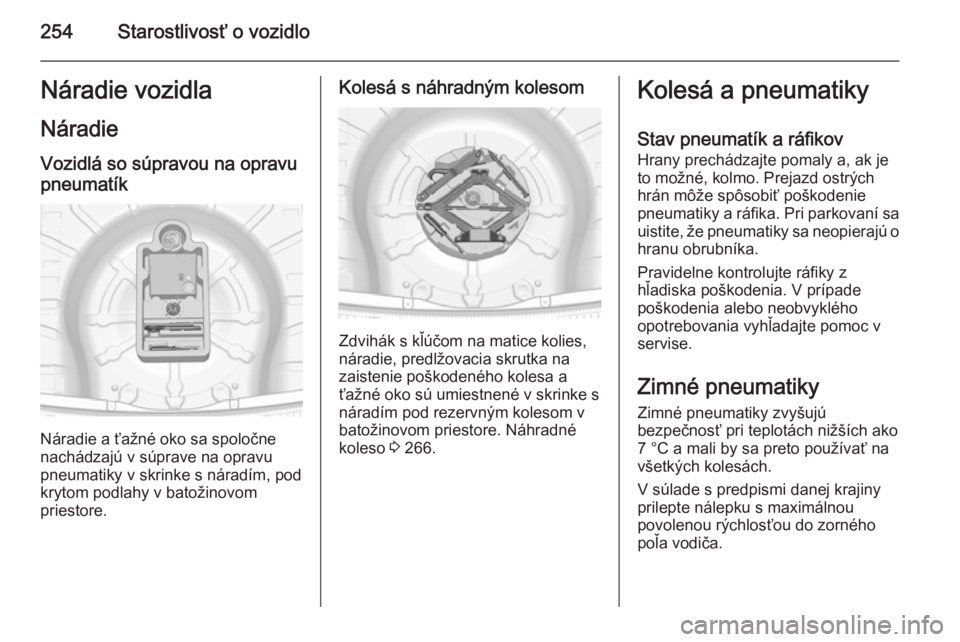 OPEL INSIGNIA 2014.5  Používateľská príručka (in Slovak) 254Starostlivosť o vozidloNáradie vozidla
Náradie
Vozidlá so súpravou na opravu
pneumatík
Náradie a ťažné oko sa spoločne
nachádzajú v súprave na opravu
pneumatiky v skrinke s náradím,