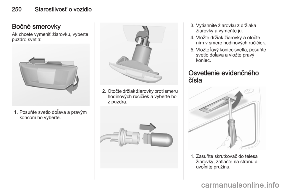 OPEL INSIGNIA 2015.5  Používateľská príručka (in Slovak) 250Starostlivosť o vozidloBočné smerovky
Ak chcete vymeniť žiarovku, vyberte
puzdro svetla:
1. Posuňte svetlo doľava a pravým koncom ho vyberte.
2.Otočte držiak žiarovky proti smeru
hodinov