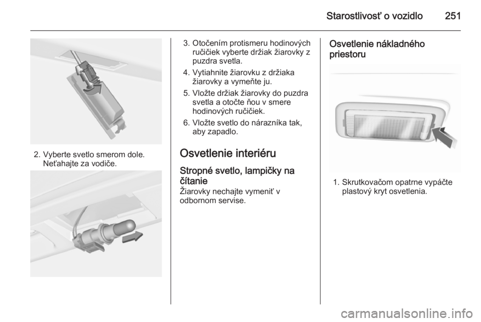 OPEL INSIGNIA 2015.5  Používateľská príručka (in Slovak) Starostlivosť o vozidlo251
2. Vyberte svetlo smerom dole.Neťahajte za vodiče.
3. Otočením protismeru hodinovýchručičiek vyberte držiak žiarovky z
puzdra svetla.
4. Vytiahnite žiarovku z dr�