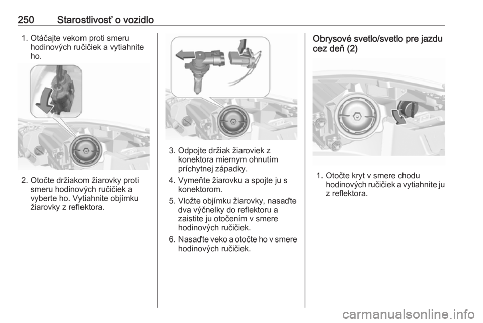 OPEL INSIGNIA 2017  Používateľská príručka (in Slovak) 250Starostlivosť o vozidlo1. Otáčajte vekom proti smeruhodinových ručičiek a vytiahnite
ho.
2. Otočte držiakom žiarovky proti smeru hodinových ručičiek avyberte ho. Vytiahnite objímku
ži