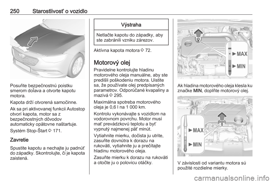 OPEL INSIGNIA BREAK 2017.75  Používateľská príručka (in Slovak) 250Starostlivosť o vozidlo
Posuňte bezpečnostnú poistku
smerom doľava a otvorte kapotu
motora.
Kapota drží otvorená samočinne.
Ak sa pri aktivovanej funkcii Autostop
otvorí kapota, motor sa 