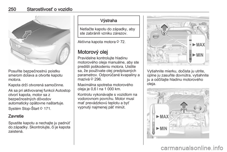 OPEL INSIGNIA BREAK 2018  Používateľská príručka (in Slovak) 250Starostlivosť o vozidlo
Posuňte bezpečnostnú poistku
smerom doľava a otvorte kapotu
motora.
Kapota drží otvorená samočinne.
Ak sa pri aktivovanej funkcii Autostop
otvorí kapota, motor sa 