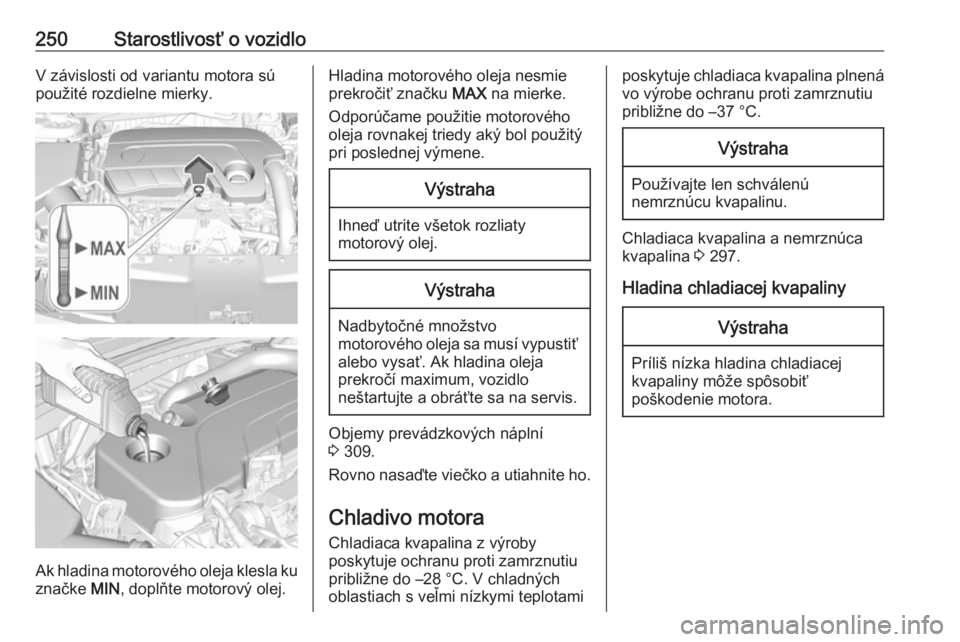 OPEL INSIGNIA BREAK 2019.5  Používateľská príručka (in Slovak) 250Starostlivosť o vozidloV závislosti od variantu motora sú
použité rozdielne mierky.
Ak hladina motorového oleja klesla ku značke  MIN, doplňte motorový olej.
Hladina motorového oleja nesm