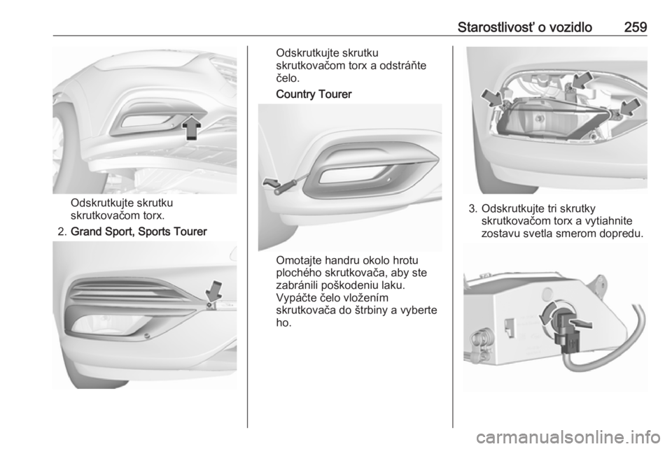 OPEL INSIGNIA BREAK 2019.5  Používateľská príručka (in Slovak) Starostlivosť o vozidlo259
Odskrutkujte skrutku
skrutkovačom torx.
2. Grand Sport, Sports Tourer
Odskrutkujte skrutku
skrutkovačom torx a odstráňte
čelo.
Country Tourer
Omotajte handru okolo hro