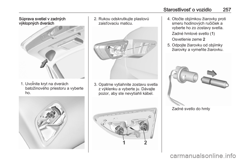 OPEL INSIGNIA BREAK 2020  Používateľská príručka (in Slovak) Starostlivosť o vozidlo257Súprava svetiel v zadných
výklopných dverách
1. Uvoľnite kryt na dverách
batožinového priestoru a vyberte
ho.
2. Rukou odskrutkujte plastovú zaisťovaciu maticu.
3