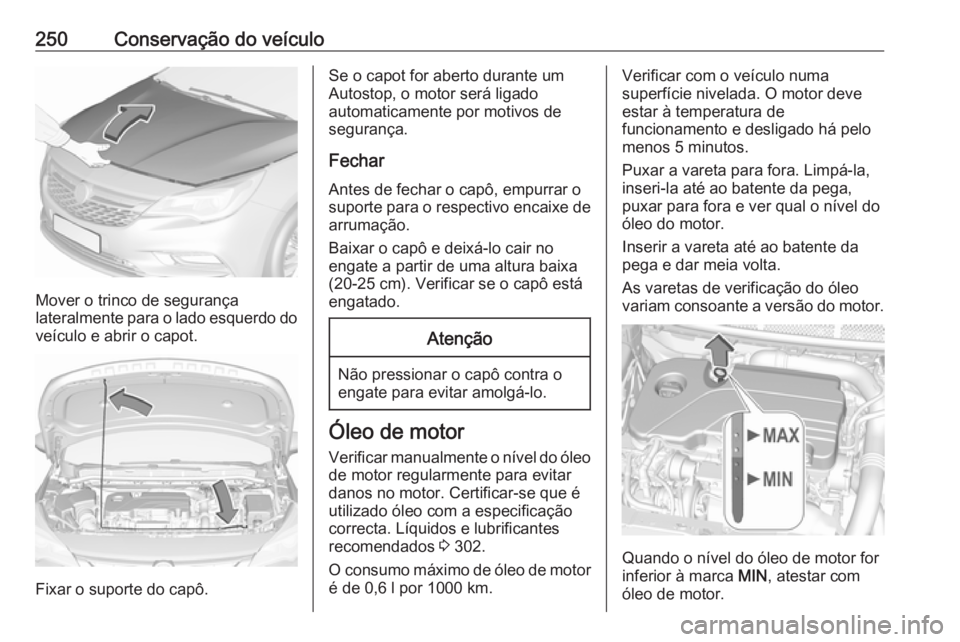 OPEL ASTRA K 2017.5 Manual de Instruções (in Portugues) 250Conservação do veículo
Mover o trinco de segurança
lateralmente para o lado esquerdo do veículo e abrir o capot.
Fixar o suporte do capô.
Se o capot for aberto durante um
Autostop, o motor se OPEL ASTRA K 2017.5 Manual de Instruções (in Portugues) 250Conservação do veículo
Mover o trinco de segurança
lateralmente para o lado esquerdo do veículo e abrir o capot.
Fixar o suporte do capô.
Se o capot for aberto durante um
Autostop, o motor se