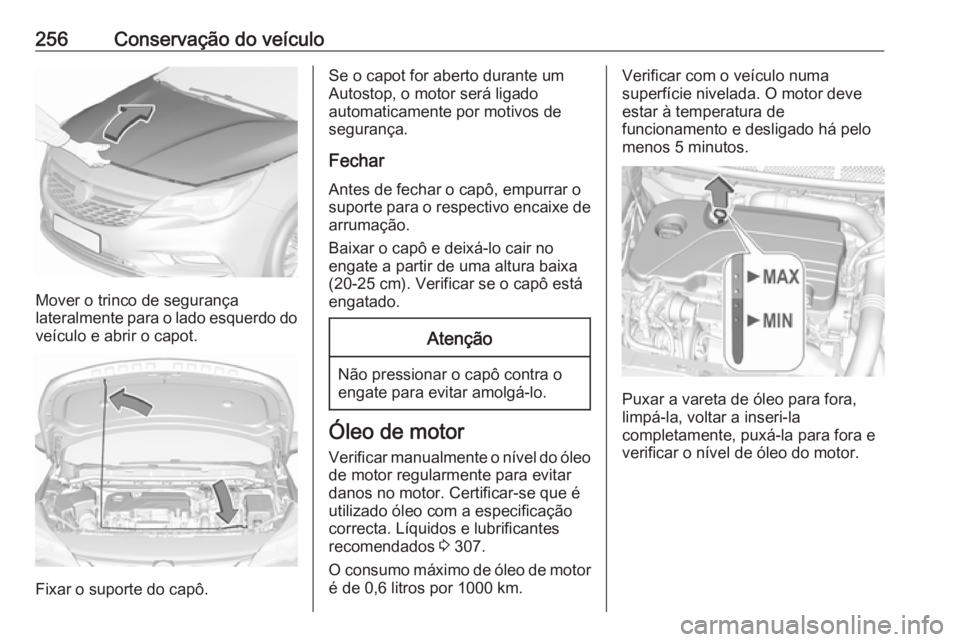 OPEL ASTRA K 2018.5  Manual de Instruções (in Portugues) 256Conservação do veículo
Mover o trinco de segurança
lateralmente para o lado esquerdo do veículo e abrir o capot.
Fixar o suporte do capô.
Se o capot for aberto durante um
Autostop, o motor se
