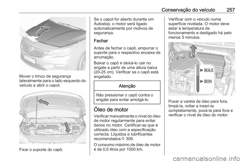 OPEL ASTRA K 2019 Manual de Instruções (in Portugues) Conservação do veículo257
Mover o trinco de segurança
lateralmente para o lado esquerdo do veículo e abrir o capot.
Fixar o suporte do capô.
Se o capot for aberto durante um
Autostop, o motor se OPEL ASTRA K 2019 Manual de Instruções (in Portugues) Conservação do veículo257
Mover o trinco de segurança
lateralmente para o lado esquerdo do veículo e abrir o capot.
Fixar o suporte do capô.
Se o capot for aberto durante um
Autostop, o motor se