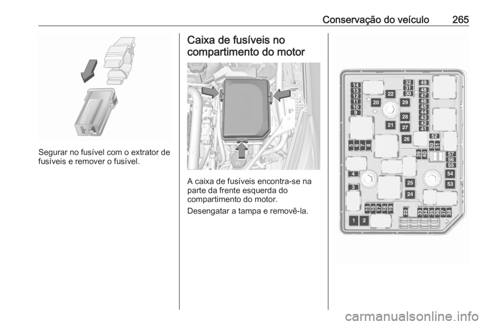OPEL ASTRA K 2020  Manual de Instruções (in Portugues) Conservação do veículo265
Segurar no fusível com o extrator de
fusíveis e remover o fusível.
Caixa de fusíveis no
compartimento do motor
A caixa de fusíveis encontra-se na
parte da frente esqu