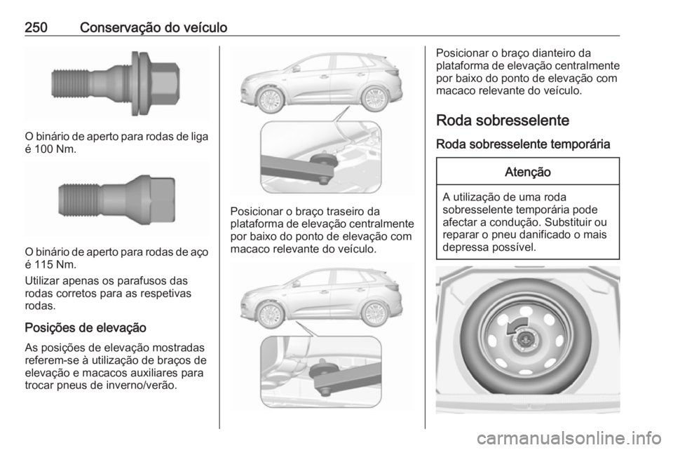 OPEL GRANDLAND X 2018.5  Manual de Instruções (in Portugues) 250Conservação do veículo
O binário de aperto para rodas de liga
é 100 Nm.
O binário de aperto para rodas de aço
é 115 Nm.
Utilizar apenas os parafusos das
rodas corretos para as respetivas
ro