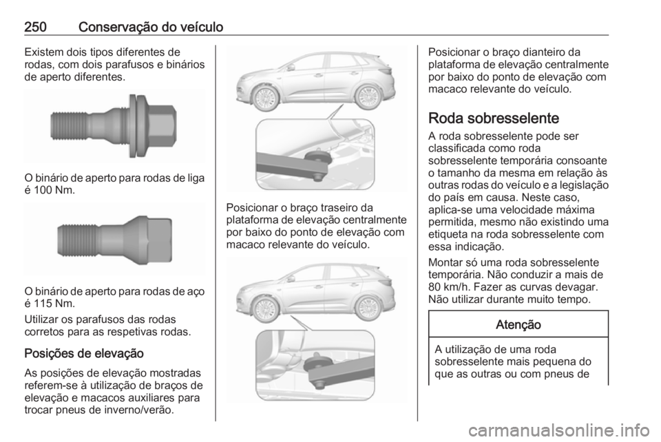 OPEL GRANDLAND X 2019  Manual de Instruções (in Portugues) 250Conservação do veículoExistem dois tipos diferentes de
rodas, com dois parafusos e binários
de aperto diferentes.
O binário de aperto para rodas de liga
é 100 Nm.
O binário de aperto para ro