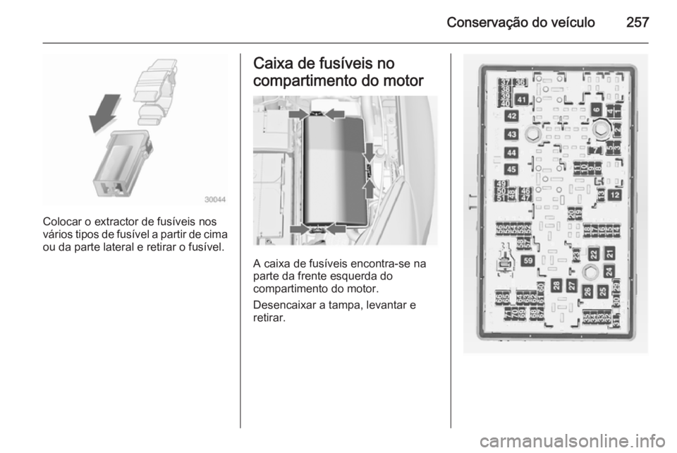 OPEL INSIGNIA 2014 Manual de Instruções (in Portugues) Conservação do veículo257
Colocar o extractor de fusíveis nos
vários tipos de fusível a partir de cima
ou da parte lateral e retirar o fusível.
Caixa de fusíveis no
compartimento do motor
A ca OPEL INSIGNIA 2014 Manual de Instruções (in Portugues) Conservação do veículo257
Colocar o extractor de fusíveis nos
vários tipos de fusível a partir de cima
ou da parte lateral e retirar o fusível.
Caixa de fusíveis no
compartimento do motor
A ca