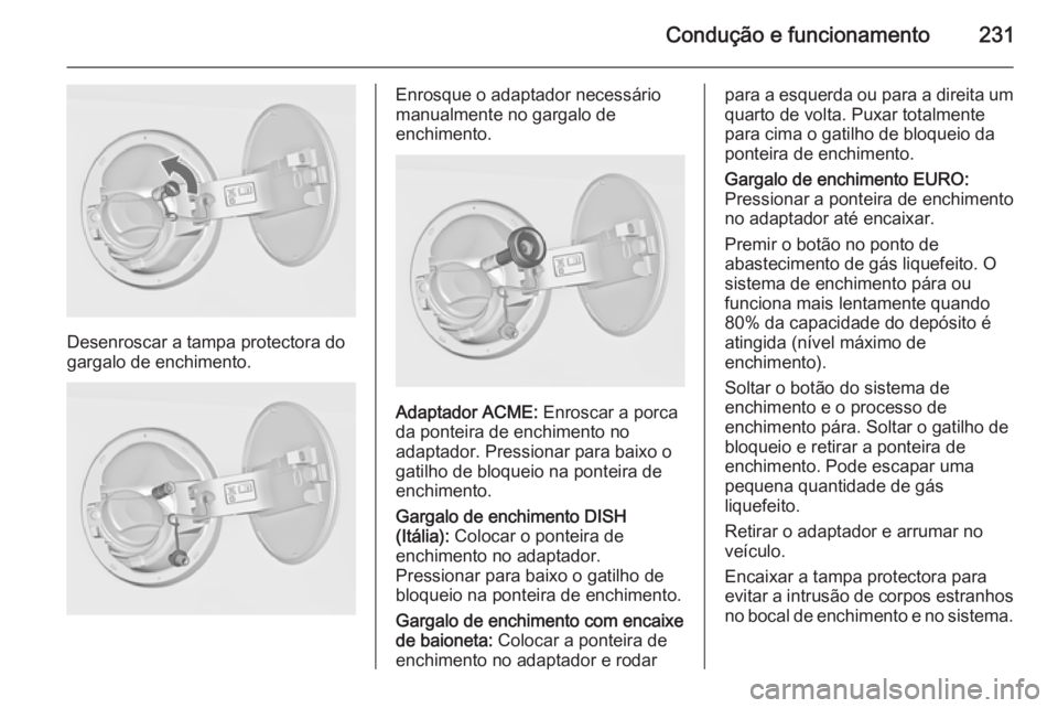 OPEL INSIGNIA 2015  Manual de Instruções (in Portugues) Condução e funcionamento231
Desenroscar a tampa protectora do
gargalo de enchimento.
Enrosque o adaptador necessário
manualmente no gargalo de
enchimento.
Adaptador ACME:  Enroscar a porca
da ponte