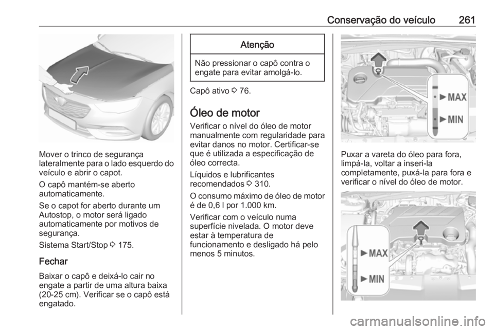 OPEL INSIGNIA BREAK 2019.5 Manual de Instruções (in Portugues) Conservação do veículo261
Mover o trinco de segurança
lateralmente para o lado esquerdo do veículo e abrir o capot.
O capô mantém-se aberto
automaticamente.
Se o capot for aberto durante um
Aut OPEL INSIGNIA BREAK 2019.5 Manual de Instruções (in Portugues) Conservação do veículo261
Mover o trinco de segurança
lateralmente para o lado esquerdo do veículo e abrir o capot.
O capô mantém-se aberto
automaticamente.
Se o capot for aberto durante um
Aut