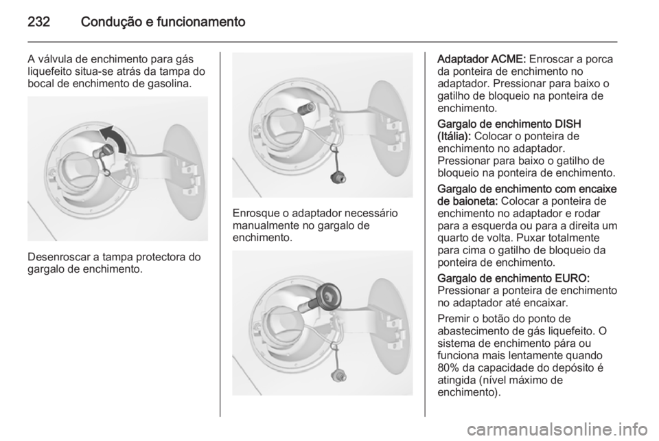 OPEL ZAFIRA C 2015  Manual de Instruções (in Portugues) 232Condução e funcionamento
A válvula de enchimento para gás
liquefeito situa-se atrás da tampa do
bocal de enchimento de gasolina.
Desenroscar a tampa protectora do
gargalo de enchimento.
Enrosq