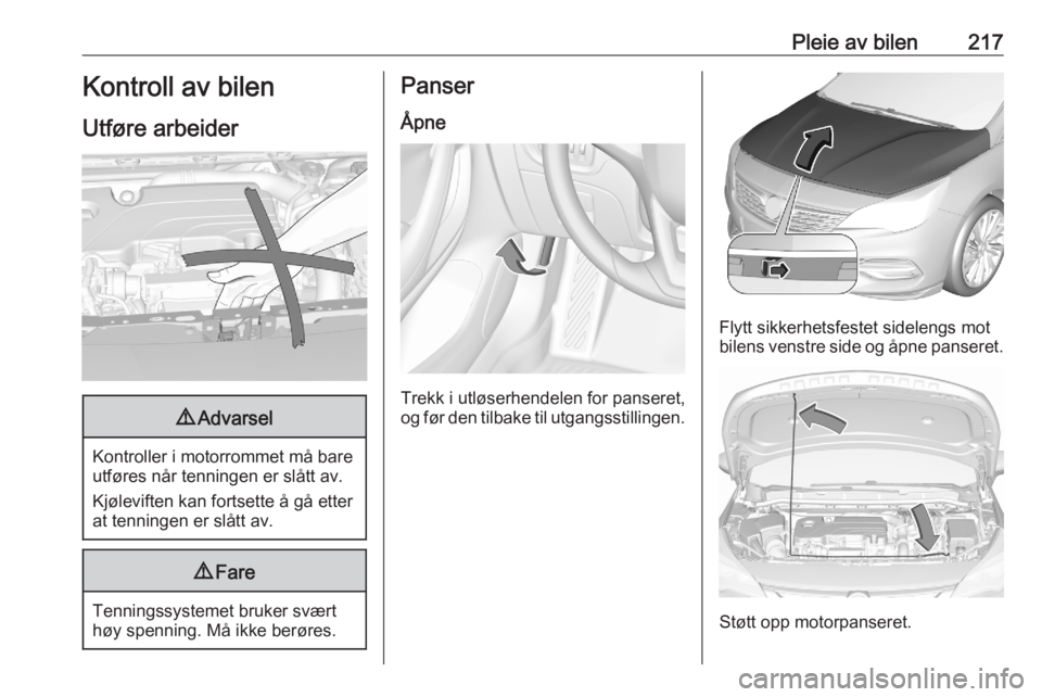 OPEL ASTRA K 2020  Instruksjonsbok Pleie av bilen217Kontroll av bilen
Utføre arbeider9 Advarsel
Kontroller i motorrommet må bare
utføres når tenningen er slått av.
Kjøleviften kan fortsette å gå etter
at tenningen er slått av.