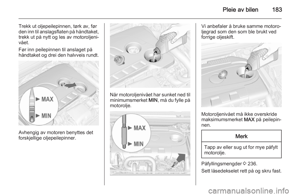 OPEL CASCADA 2015.5  Instruksjonsbok Pleie av bilen183
Trekk ut oljepeilepinnen, tørk av, før
den inn til anslagsflaten på håndtaket,
trekk ut på nytt og les av motoroljeni‐
vået.
Før inn peilepinnen til anslaget på
håndtaket 