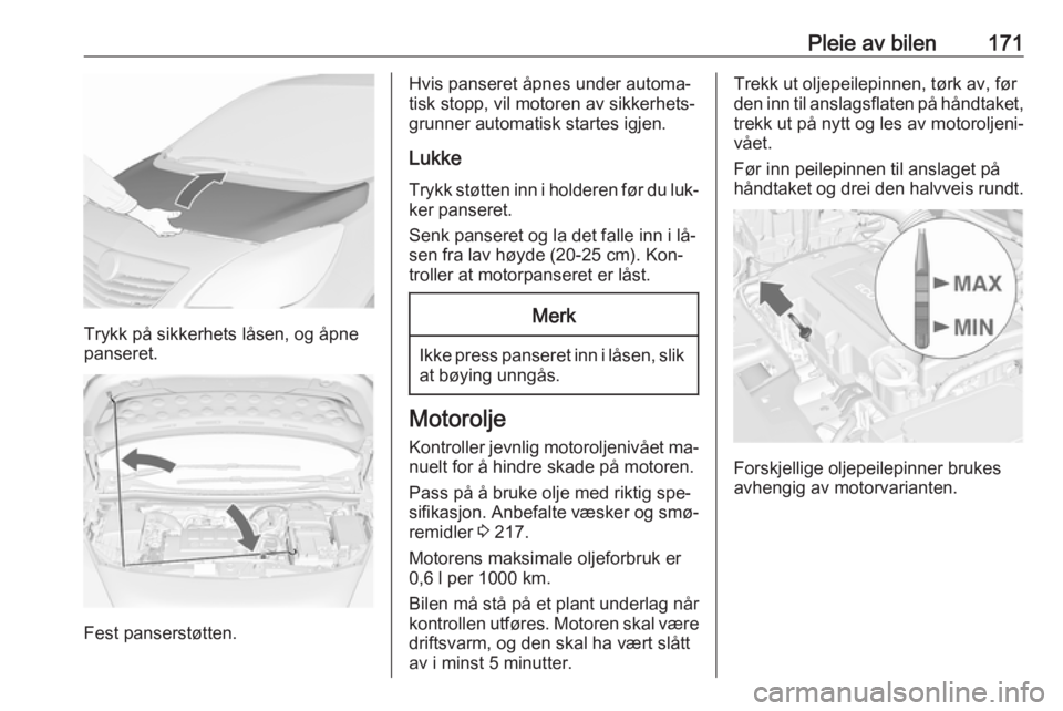 OPEL MERIVA 2016  Instruksjonsbok Pleie av bilen171
Trykk på sikkerhets låsen, og åpne
panseret.
Fest panserstøtten.
Hvis panseret åpnes under automa‐
tisk stopp, vil motoren av sikkerhets‐
grunner automatisk startes igjen.
L