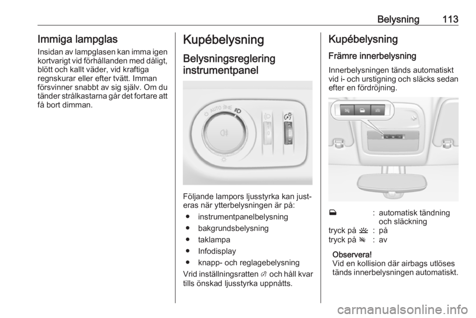 OPEL ADAM 2018.5  Instruktionsbok Belysning113Immiga lampglas
Insidan av lampglasen kan imma igen
kortvarigt vid förhållanden med dåligt, blött och kallt väder, vid kraftiga
regnskurar eller efter tvätt. Imman
försvinner snabbt