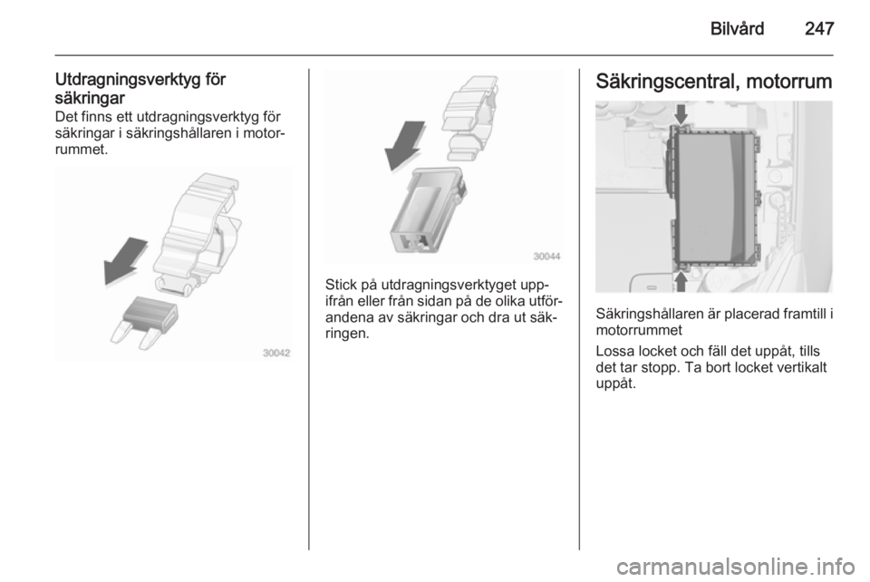 OPEL ASTRA J 2015  Instruktionsbok Bilvård247
Utdragningsverktyg för
säkringar Det finns ett utdragningsverktyg för
säkringar i säkringshållaren i motor‐
rummet.
Stick på utdragningsverktyget upp‐
ifrån eller från sidan p