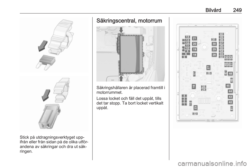 OPEL ASTRA J 2016  Instruktionsbok Bilvård249
Stick på utdragningsverktyget upp‐
ifrån eller från sidan på de olika utför‐ andena av säkringar och dra ut säk‐
ringen.
Säkringscentral, motorrum
Säkringshållaren är plac