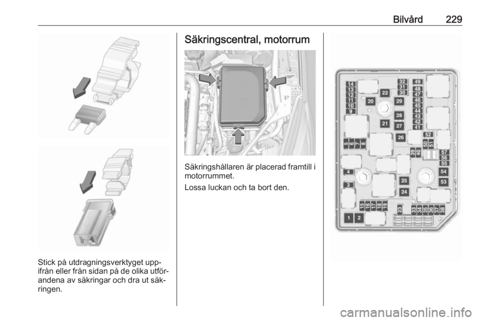 OPEL ASTRA K 2016.5 Instruktionsbok Bilvård229
Stick på utdragningsverktyget upp‐
ifrån eller från sidan på de olika utför‐ andena av säkringar och dra ut säk‐
ringen.
Säkringscentral, motorrum
Säkringshållaren är plac OPEL ASTRA K 2016.5 Instruktionsbok Bilvård229
Stick på utdragningsverktyget upp‐
ifrån eller från sidan på de olika utför‐ andena av säkringar och dra ut säk‐
ringen.
Säkringscentral, motorrum
Säkringshållaren är plac