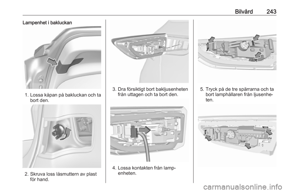 OPEL ASTRA K 2018.5  Instruktionsbok Bilvård243Lampenhet i bakluckan
1.Lossa kåpan på bakluckan och ta
bort den.
2. Skruva loss låsmuttern av plast för hand.
3. Dra försiktigt bort bakljusenheten från uttagen och ta bort den.
4. L