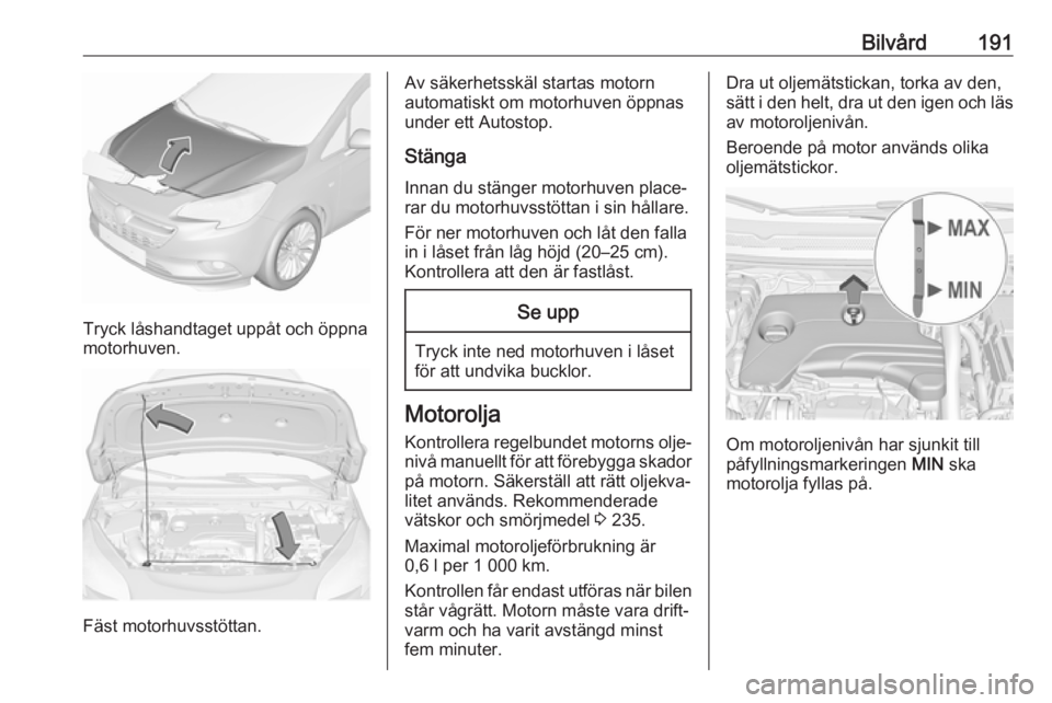 OPEL CORSA E 2018 Instruktionsbok Bilvård191
Tryck låshandtaget uppåt och öppna
motorhuven.
Fäst motorhuvsstöttan.
Av säkerhetsskäl startas motorn
automatiskt om motorhuven öppnas
under ett Autostop.
Stänga Innan du stänger OPEL CORSA E 2018 Instruktionsbok Bilvård191
Tryck låshandtaget uppåt och öppna
motorhuven.
Fäst motorhuvsstöttan.
Av säkerhetsskäl startas motorn
automatiskt om motorhuven öppnas
under ett Autostop.
Stänga Innan du stänger