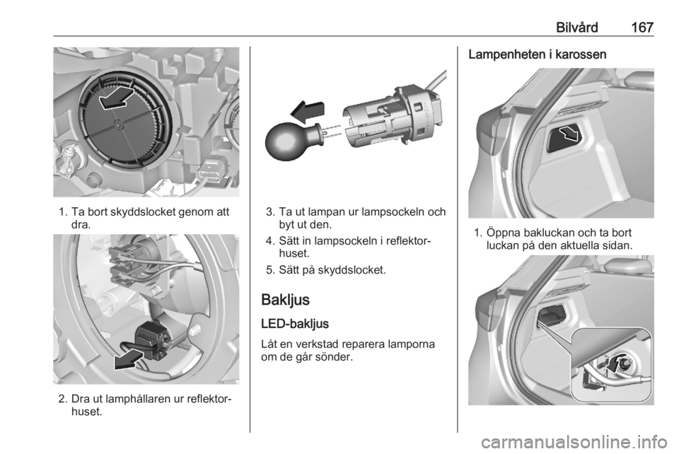 OPEL CORSA F 2020  Instruktionsbok Bilvård167
1. Ta bort skyddslocket genom attdra.
2. Dra ut lamphållaren ur reflektor‐ huset.
3. Ta ut lampan ur lampsockeln ochbyt ut den.
4. Sätt in lampsockeln i reflektor‐ huset.
5. Sätt p