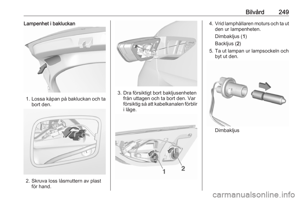 OPEL INSIGNIA BREAK 2018.5  Instruktionsbok Bilvård249Lampenhet i bakluckan
1.Lossa kåpan på bakluckan och ta
bort den.
2. Skruva loss låsmuttern av plast för hand.
3. Dra försiktigt bort bakljusenheten från uttagen och ta bort den. Var
