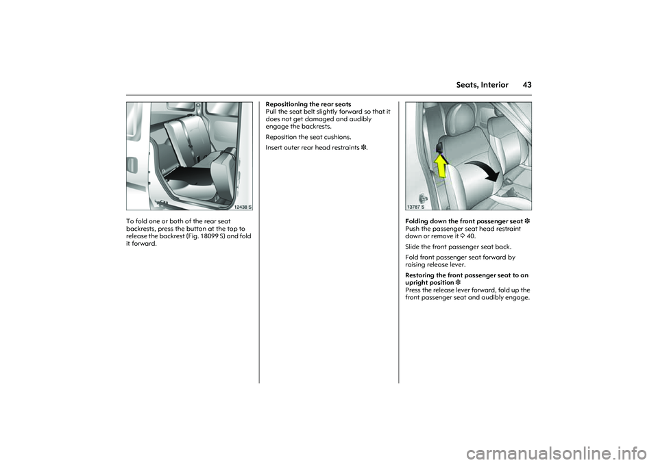 OPEL COMBO 2010 Owners Manual 43
Seats, Interior
Picture no: 12438s.tif
To fold one or both of the rear seat
backrests, press the button at the top to
release the backrest (Fig. 18099 S) and fold
it forward. Repositioning the r OPEL COMBO 2010 Owners Manual 43
Seats, Interior
Picture no: 12438s.tif
To fold one or both of the rear seat
backrests, press the button at the top to
release the backrest (Fig. 18099 S) and fold
it forward. Repositioning the r