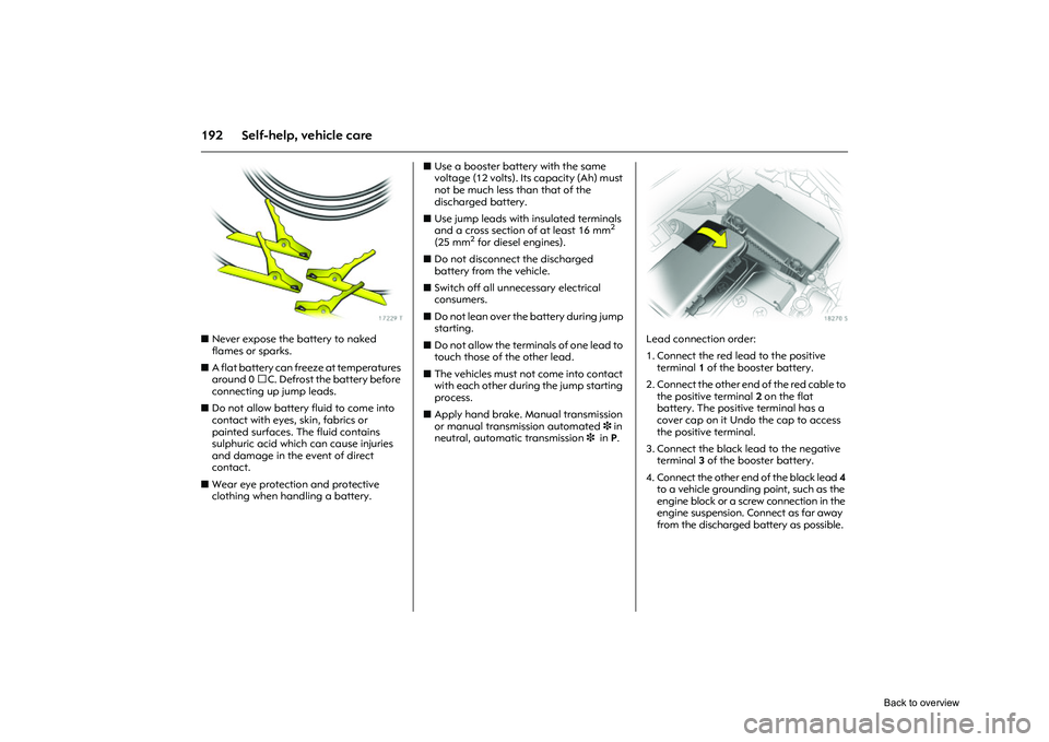 OPEL CORSA 2009  Owners Manual 192 Self-help, vehicle care
Picture no: 17229t.tif
zNever expose the battery to naked 
flames or sparks. 
z A flat battery can fr eeze at temperatures 
around 0 C. Defrost the battery before 
connect