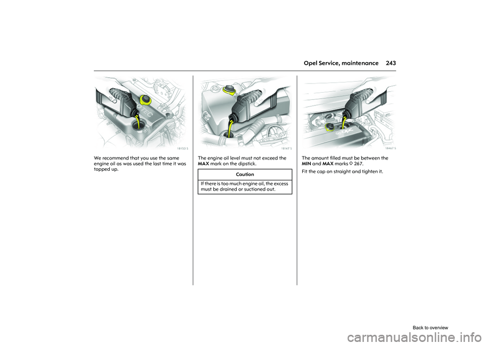 OPEL CORSA 2009  Owners Manual 243
Opel Service, maintenance
Picture no: 18153s.tif
We recommend that you use the same 
engine oil as was used the last time it was 
topped up. 
Picture no: 18147s.tif
The engine oil level must not e