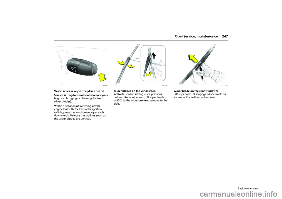 OPEL CORSA 2009  Owners Manual 247
Opel Service, maintenance
Picture no: 18434s.tif
Windscreen wiper replacement Service setting for front windscreen wipers 
(e.g. for changing or cleaning the front 
wiper blades). 
Within 4 second