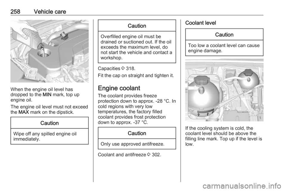 OPEL INSIGNIA 2019  Owners Manual 258Vehicle care
When the engine oil level has
dropped to the  MIN mark, top up
engine oil.
The engine oil level must not exceed
the  MAX  mark on the dipstick.
Caution
Wipe off any spilled engine oil

