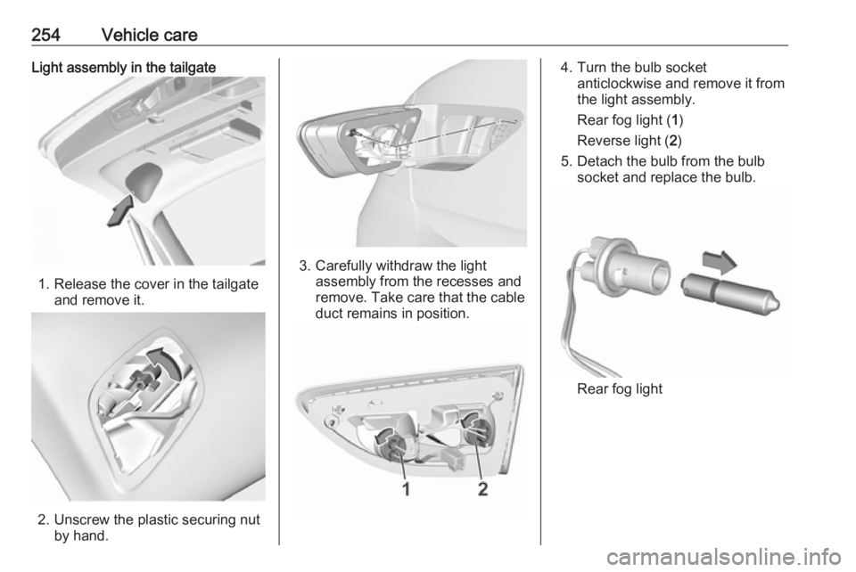 OPEL INSIGNIA 2018  Owners Manual 254Vehicle careLight assembly in the tailgate
1. Release the cover in the tailgateand remove it.
2. Unscrew the plastic securing nutby hand.
3. Carefully withdraw the lightassembly from the recesses a