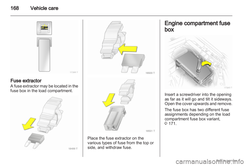 OPEL ZAFIRA 2009  Owners Manual 168
Vehicle careFuse extractor
A 
fuse extractor may be located in the
fuse box in the load compartment. Place the fuse extractor on the
various types of fuse from the top or
side, and withdraw fuse. 