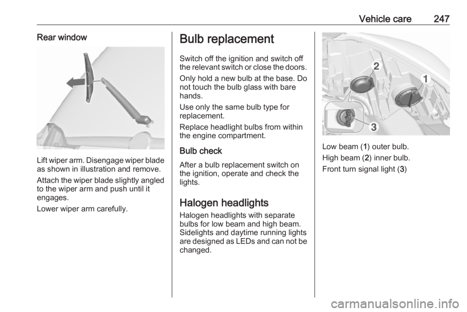 OPEL ZAFIRA TOURER 2019 Owners Manual Vehicle care247Rear window
Lift wiper arm. Disengage wiper bladeas shown in illustration and remove.
Attach the wiper blade slightly angled
to the wiper arm and push until it
engages.
Lower wiper arm OPEL ZAFIRA TOURER 2019 Owners Manual Vehicle care247Rear window
Lift wiper arm. Disengage wiper bladeas shown in illustration and remove.
Attach the wiper blade slightly angled
to the wiper arm and push until it
engages.
Lower wiper arm