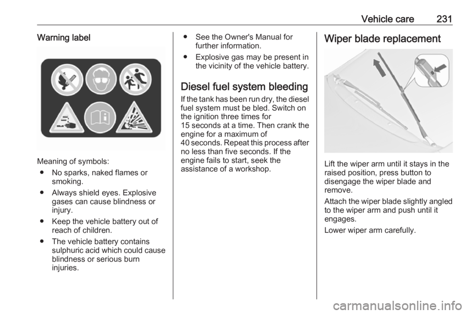 OPEL ZAFIRA TOURER 2017  Owners Manual Vehicle care231Warning label
Meaning of symbols:● No sparks, naked flames or smoking.
● Always shield eyes. Explosive gases can cause blindness or
injury.
● Keep the vehicle battery out of reach
