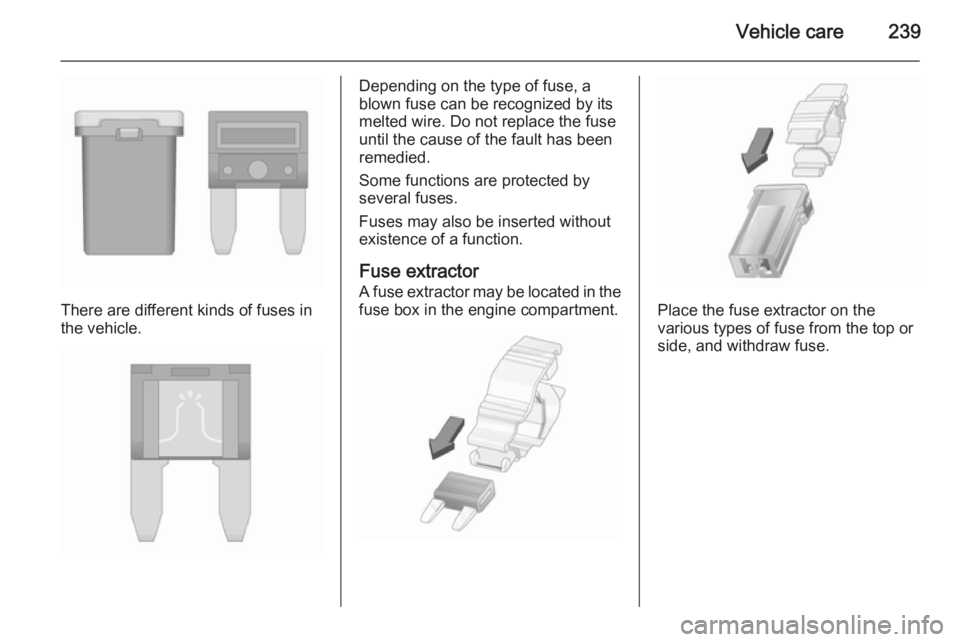 OPEL ZAFIRA TOURER 2016 Owners Manual Vehicle care239
There are different kinds of fuses in
the vehicle.
Depending on the type of fuse, a
blown fuse can be recognized by its
melted wire. Do not replace the fuse until the cause of the faul OPEL ZAFIRA TOURER 2016 Owners Manual Vehicle care239
There are different kinds of fuses in
the vehicle.
Depending on the type of fuse, a
blown fuse can be recognized by its
melted wire. Do not replace the fuse until the cause of the faul