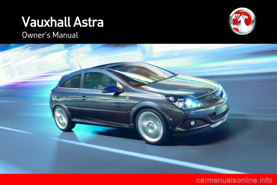 VAUXHALL ASTRA J 2013  Owners Manual 