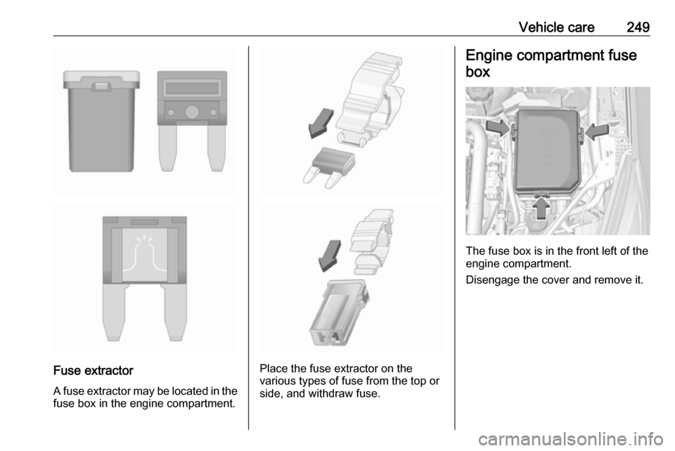 VAUXHALL ASTRA J 2018.5 Owners Manual Vehicle care249
Fuse extractorA fuse extractor may be located in the fuse box in the engine compartment.Place the fuse extractor on the
various types of fuse from the top or
side, and withdraw fuse.
E VAUXHALL ASTRA J 2018.5 Owners Manual Vehicle care249
Fuse extractorA fuse extractor may be located in the fuse box in the engine compartment.Place the fuse extractor on the
various types of fuse from the top or
side, and withdraw fuse.
E