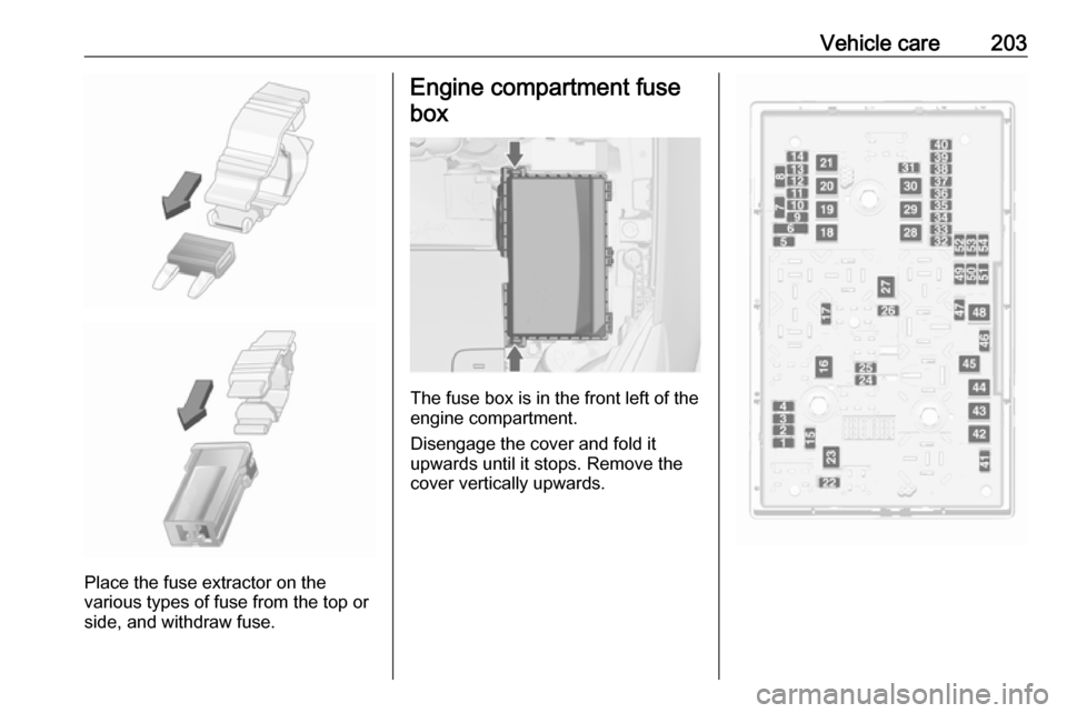 VAUXHALL CASCADA 2018 Owners Manual Vehicle care203
Place the fuse extractor on the
various types of fuse from the top or
side, and withdraw fuse.
Engine compartment fuse
box
The fuse box is in the front left of the
engine compartment.
VAUXHALL CASCADA 2018 Owners Manual Vehicle care203
Place the fuse extractor on the
various types of fuse from the top or
side, and withdraw fuse.
Engine compartment fuse
box
The fuse box is in the front left of the
engine compartment.