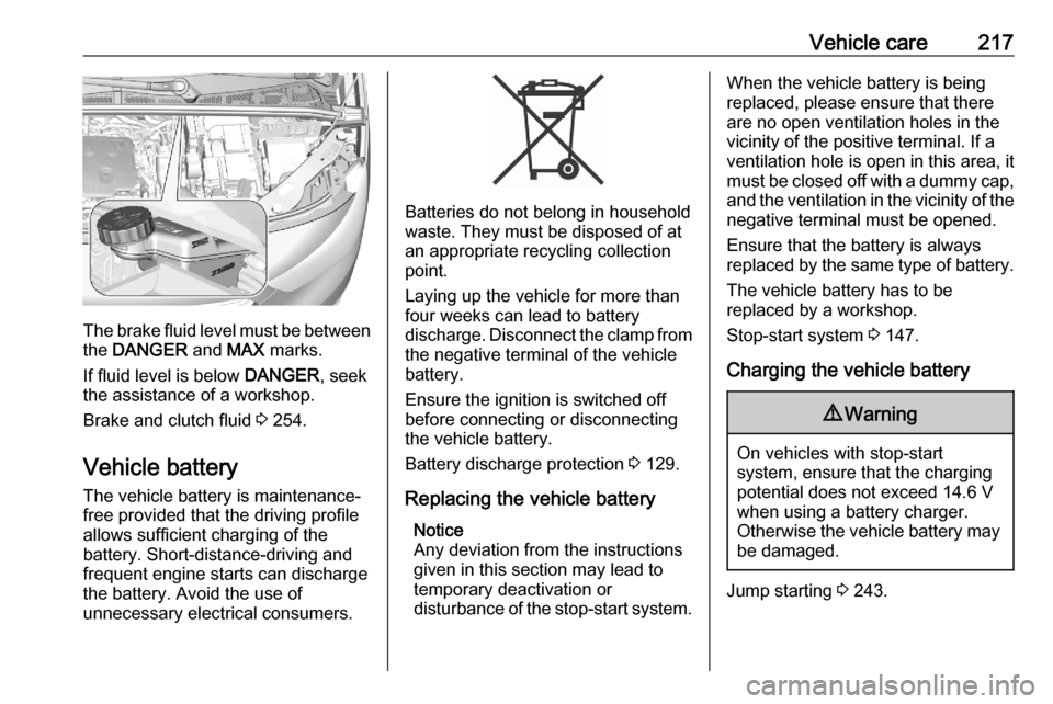 VAUXHALL COMBO E 2020  Owners Manual Vehicle care217
The brake fluid level must be betweenthe  DANGER  and MAX marks.
If fluid level is below  DANGER, seek
the assistance of a workshop.
Brake and clutch fluid  3 254.
Vehicle battery
The 