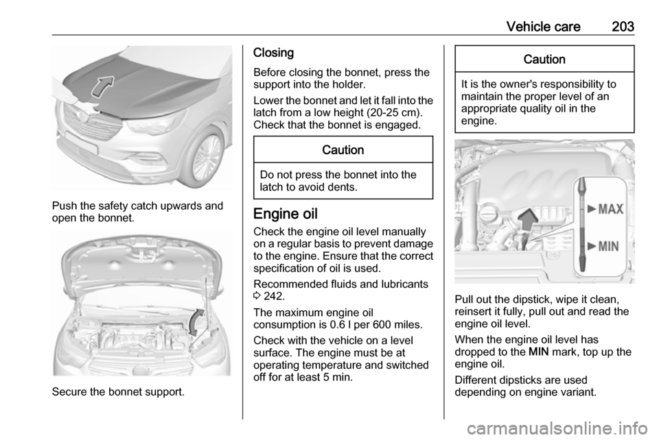 VAUXHALL GRANDLAND X 2019 Service Manual Vehicle care203
Push the safety catch upwards and
open the bonnet.
Secure the bonnet support.
Closing
Before closing the bonnet, press the
support into the holder.
Lower the bonnet and let it fall int