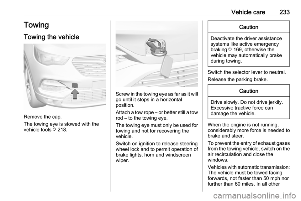 VAUXHALL GRANDLAND X 2019  Owners Manual Vehicle care233Towing
Towing the vehicle
Remove the cap.
The towing eye is stowed with the
vehicle tools  3 218.
Screw in the towing eye as far as it will
go until it stops in a horizontal
position.
A