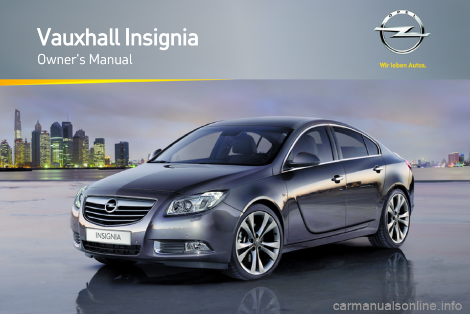 VAUXHALL INSIGNIA 2012  Owners Manual 