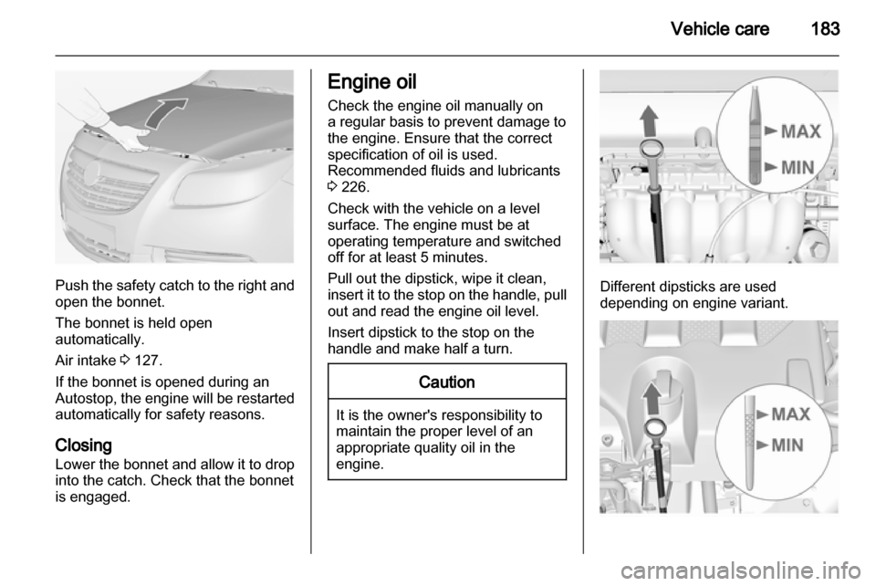 VAUXHALL INSIGNIA 2012.5  Owners Manual 
