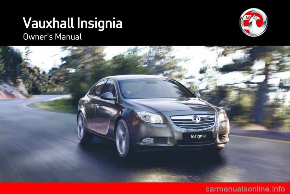 VAUXHALL INSIGNIA 2013.5  Owners Manual 